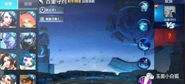 百里守约爆料视频大全集,揭秘英雄背后的故事与成长历程  第3张